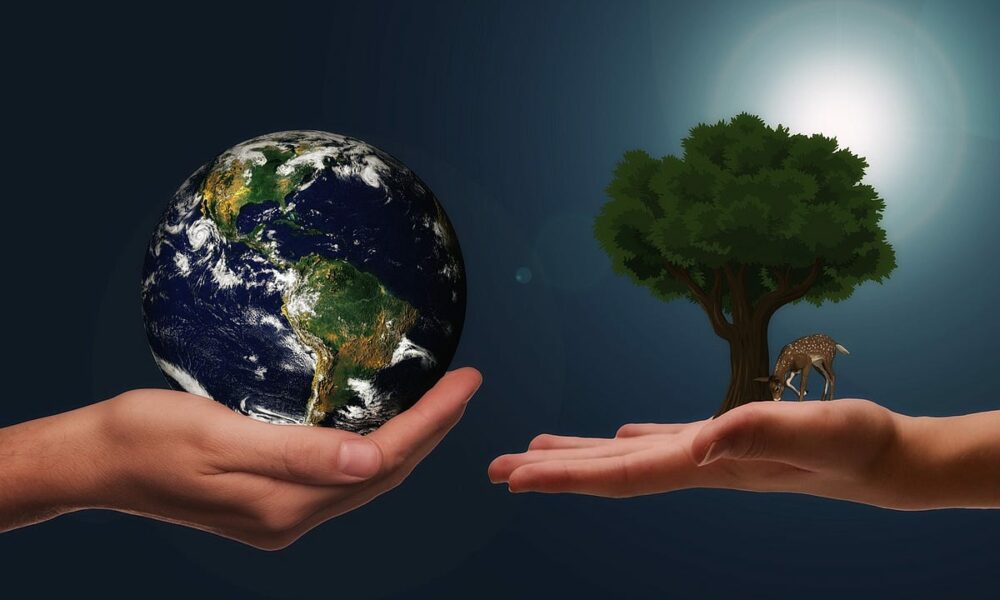 balancing-economic-growth-with-environmental-responsibility
